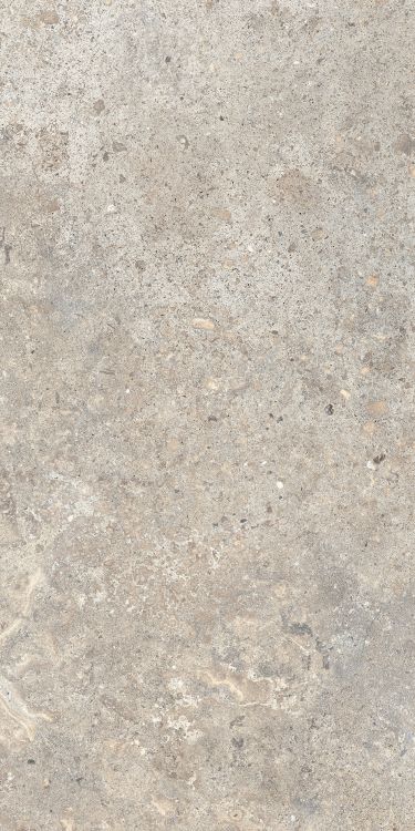 Beat Almond 12 x 24
